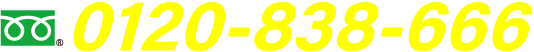 0120-838-666